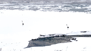  == 株式会社伝書鳩｜経済の伝書鳩｜北見・網走・オホーツクのフリーペーパー ==