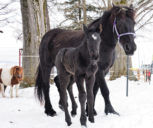  == 株式会社伝書鳩｜経済の伝書鳩｜北見・網走・オホーツクのフリーペーパー ==