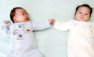  == 株式会社伝書鳩｜経済の伝書鳩｜北見・網走・オホーツクのフリーペーパー ==