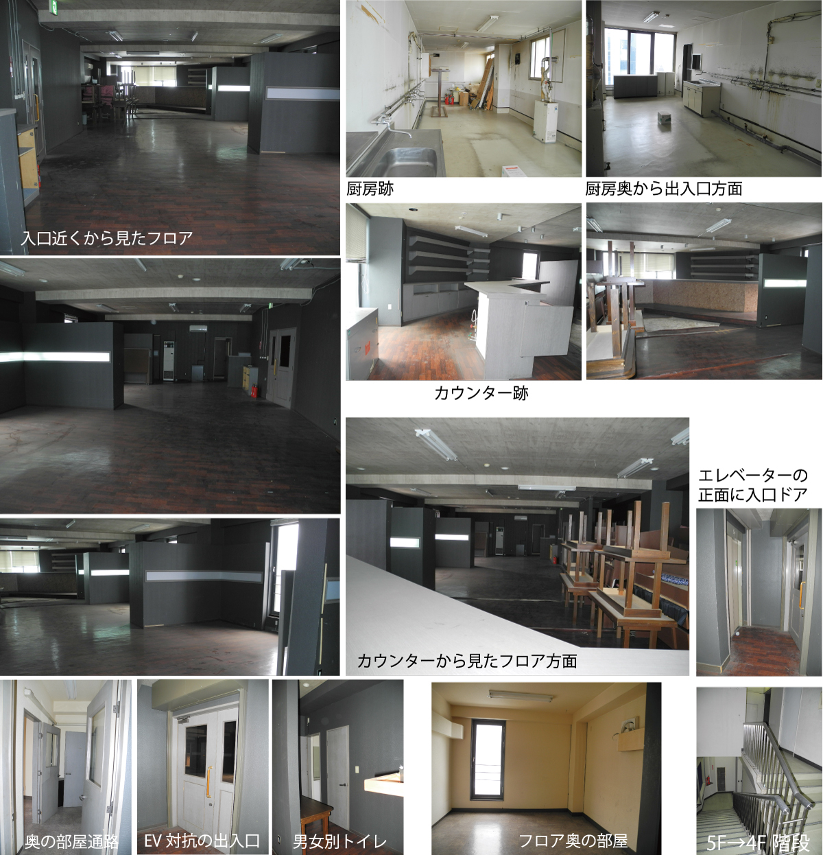 経済の伝書鳩|日刊フリーペーパー|伝書鳩WEB|北見第一ビル|北見第一ビル 北見第一ビル5F-501号室【経済の伝書鳩|日刊フリーペーパー|伝書鳩WEB】
