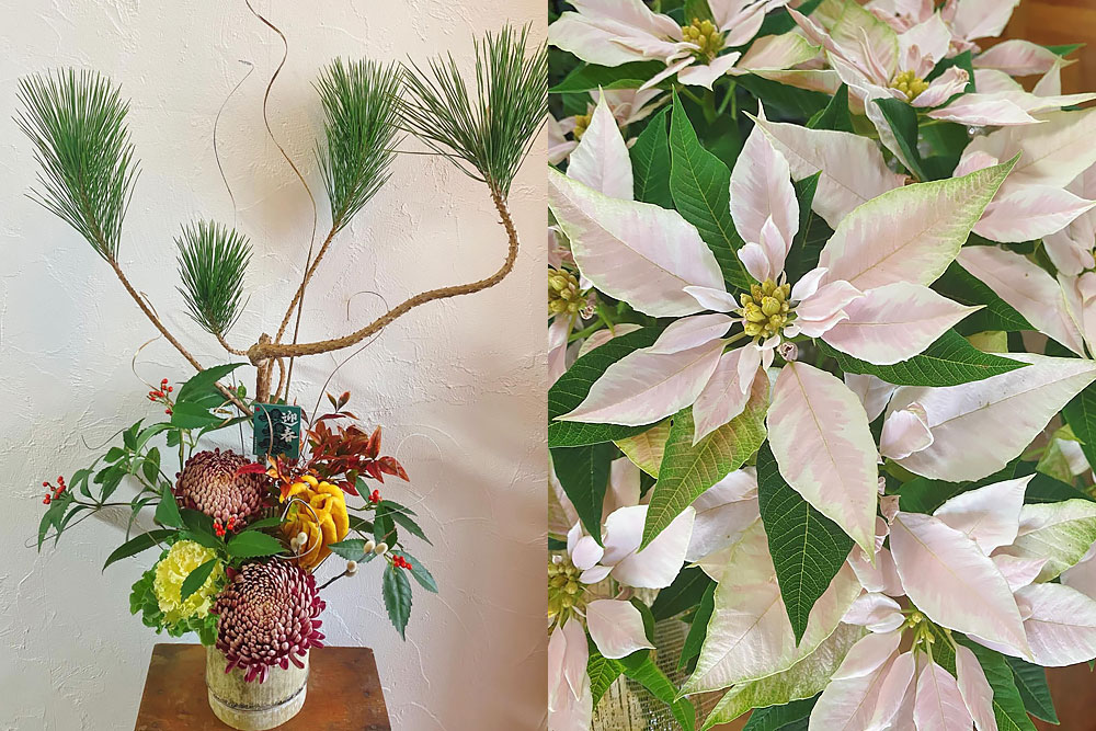 【北海道網走市｜フラワーショップ ライオンとペリカン｜花屋 ライオンとペリカン｜Flower Shop LION & PELICAN｜生花店・花・お祝い・冠婚葬祭・法事・仏花・フラワーアレンジメント・ご予約・卒業祝・入学祝】花