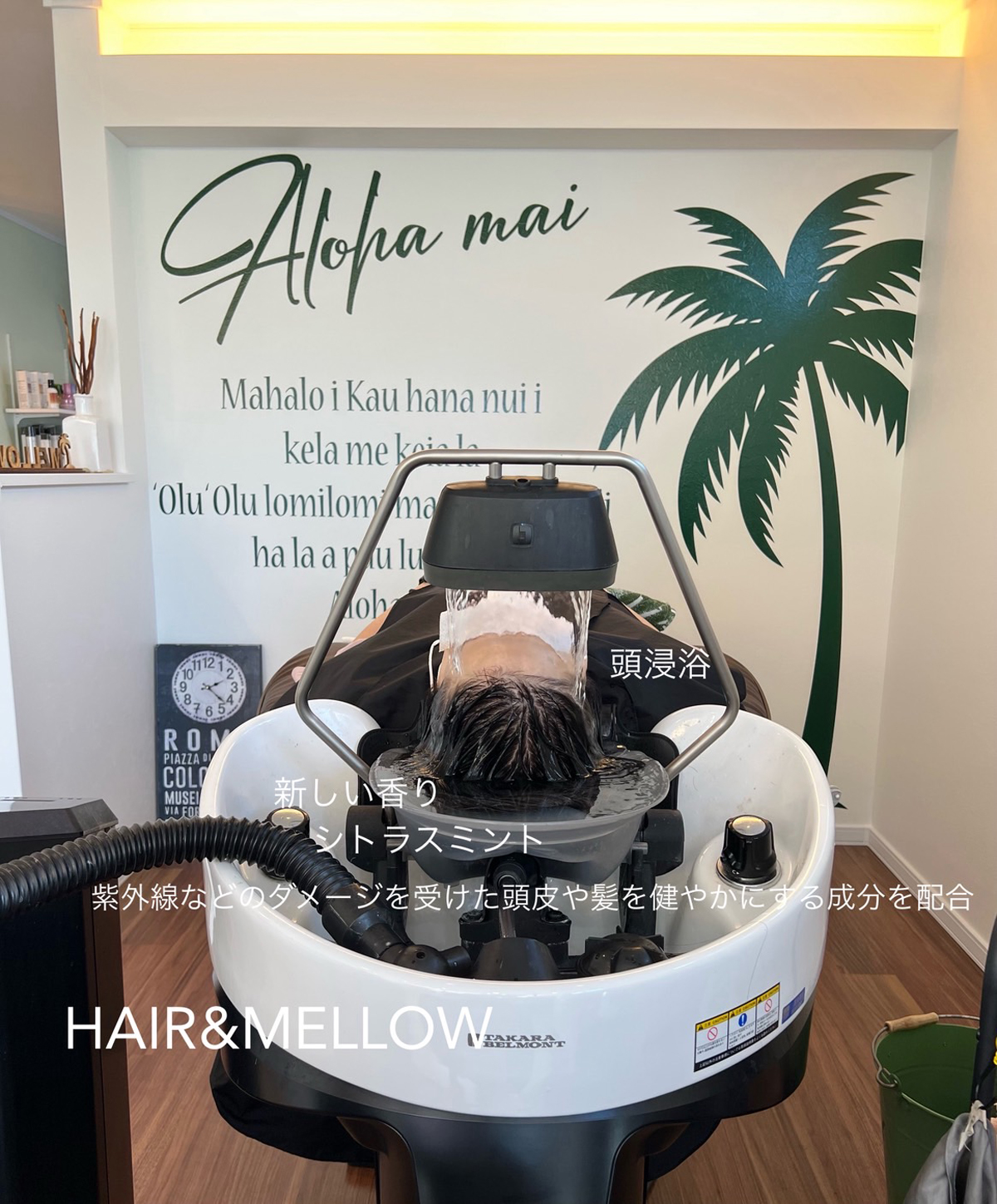 【北海道北見市|美容室|美容院|予約|ヘアサロン|北見の美容室 HAIR & MELLOW】イルミナカラー