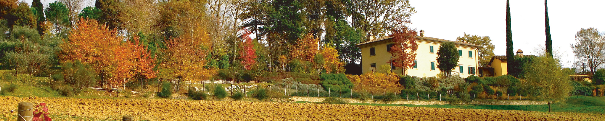 Villa Lodola Organic COLORイメージ【北海道北見市｜美容室｜美容院｜予約｜ヘアサロン｜北見の美容室 HAIR ＆ MELLOW】イルミナカラー