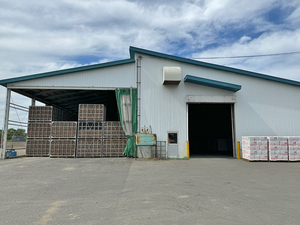 【北海道常呂郡訓子府町｜青果卸業　株式会社 小野寺｜青果物・選別・卸｜創業50年｜求人・正社員募集・パート募集｜新設事務所】倉庫群外観