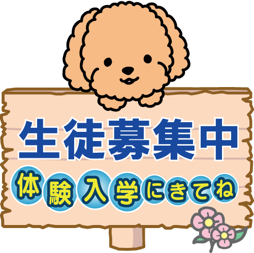 生徒募集【トリマーさんになりませんか?北海道北見市の「愛犬トリミングスクール」|ペット|美容室|日本ペット美容協会の認定校】 生徒募集イメージ